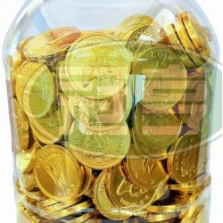 嘉珍巧克力風味女王金幣-奶素