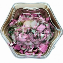 維戈斯蘋果造型可可球(榛果味)-奶素