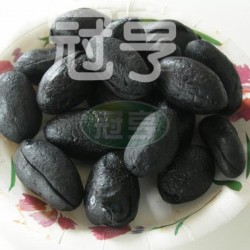 建興黑化核橄欖(無籽中藥橄欖)